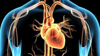 Cateterismo Cardiologista Dr. Gilberto Nunes | Porto Alegre WhatsApp Image 2021 08 04 at 11.30.32